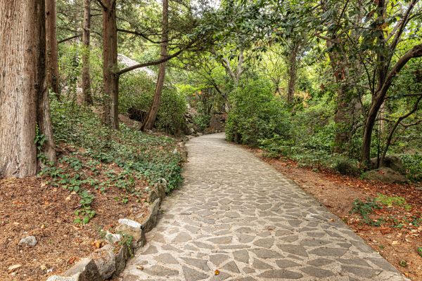 Stone Walkway Repair in Ponte Vedra Beach