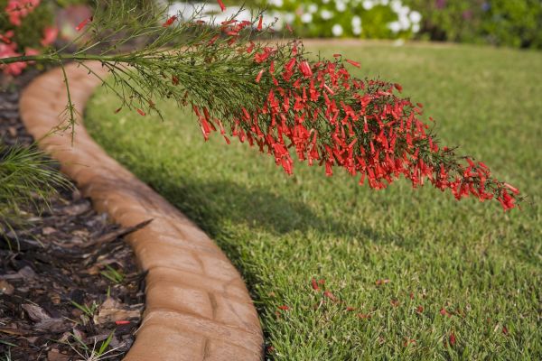 Brick Edging in Ponte Vedra Beach
