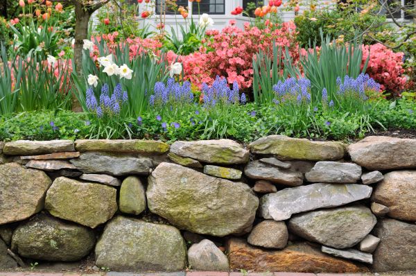 Stone Wall Hardscaping in Ponte Vedra Beach