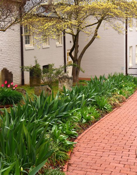 Brick Flatwork Repair in Ponte Vedra Beach